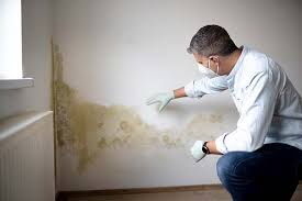 Best HVAC Mold Inspection and Cleaning  in Cornell, WI